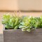 35 Pack Bulk Large Assorted Realistic Artificial Faux Succulents Aloe Plants Realistic Fake Succulent Plants, Largest Set of Succulents